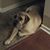 Sandra Howard's profile image