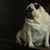 Cindy Henry's profile image