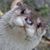 Jeanette Coleman's profile image