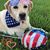 Susan Briers's profile image