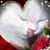 Linda Sidell Johnson's profile image