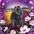 Raquel Stogden's profile image