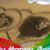Kristi Hawkins Knight's profile image
