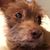 Karen LaPayover Felder's profile image