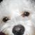 Angie Lewis's profile image