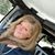 Julie Adriansen's profile image