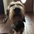 Carolyn Omiya Jech's profile image