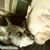 Joe Aderhold's profile image