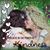 Sheri Darrell Davis's profile image