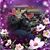 George Carter's profile image