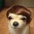 Jim Ko's profile image