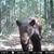 Zelma Carew's profile image