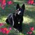 Barb Orosz's profile image