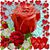 Gwen McWhorter Cook's profile image