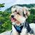 Elsa Chaires Reyes's profile image