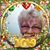 Jane Brann's profile image