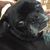 Daisy Gonzalez's profile image