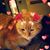 Shelly Marie's profile image