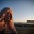 Niki Baum Hutchinson's profile image