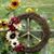 Diane Spencer's profile image
