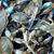 Donald Jewell's profile image