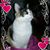 Patty Hathaway's profile image