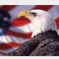 Jeff Lusher's profile image