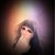 Marisa Anderson's profile image