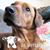 Alisha Haines's profile image