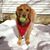Stacie Smith Weaver's profile image