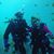 Paul Dahlia's profile image