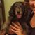 Karina Rubio's profile image