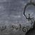 Michelle L. Benge's profile image
