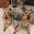 Gail Carlson's profile image