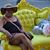 Debbe King's profile image