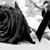 Laura Rodriguez's profile image