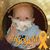 Natasha Munkittrick Allen's profile image