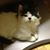Bri Rivet's profile image