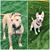 Dawn Ivancich's profile image