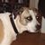 Buster Brown McKee's profile image