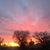 Maureen English Hada's profile image