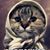 Patti Clouse's profile image