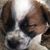 Tammy Theel's profile image