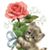 Abrish Faroqui Mughal's profile image