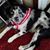 Barb Rogers Brunton's profile image