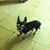 Rob ERbach's profile image