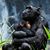 Mary Lane Stickle's profile image