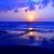 Louann B. Ward's profile image