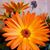 Judy Palmer's profile image