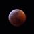 Stephanie M. Flores's profile image